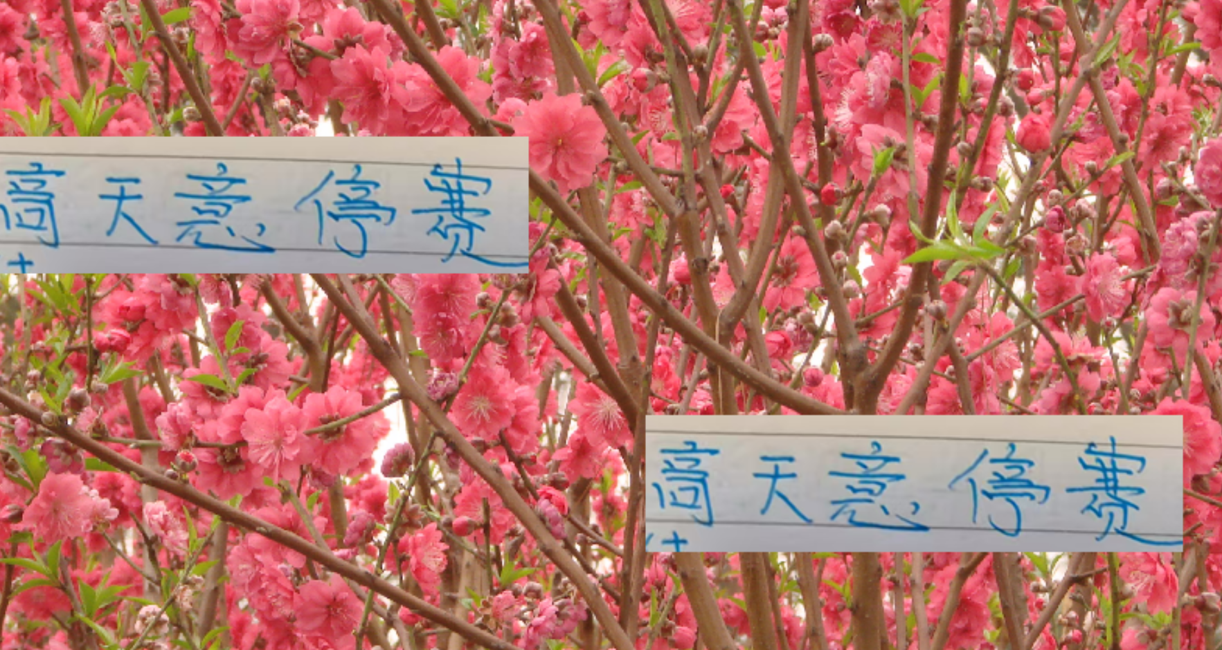 申花好消息!高天意依然是助攻榜一大哥 坏消息打山东他停赛